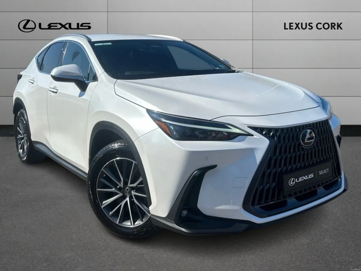 Lexus NX 2.5 - Image 1