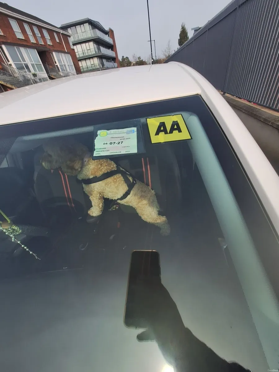 Opel Crossland X 2021 - Image 1