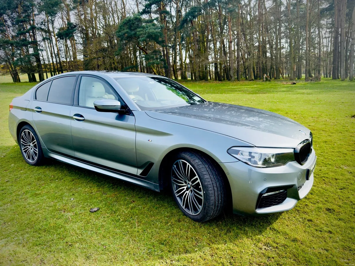 BMW 520d M Sport Auto | High Spec | Sunroof | HUD - Image 2