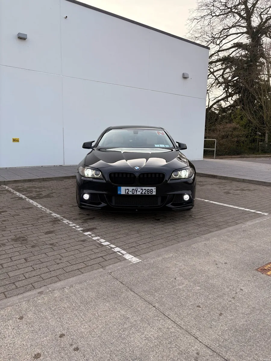 520d f10 SE - Image 4