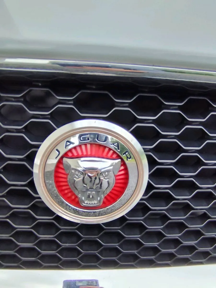 Jaguar Prestige - Image 2