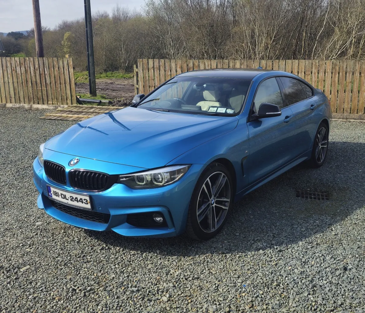 2018 BMW 420D XDrive - Image 1