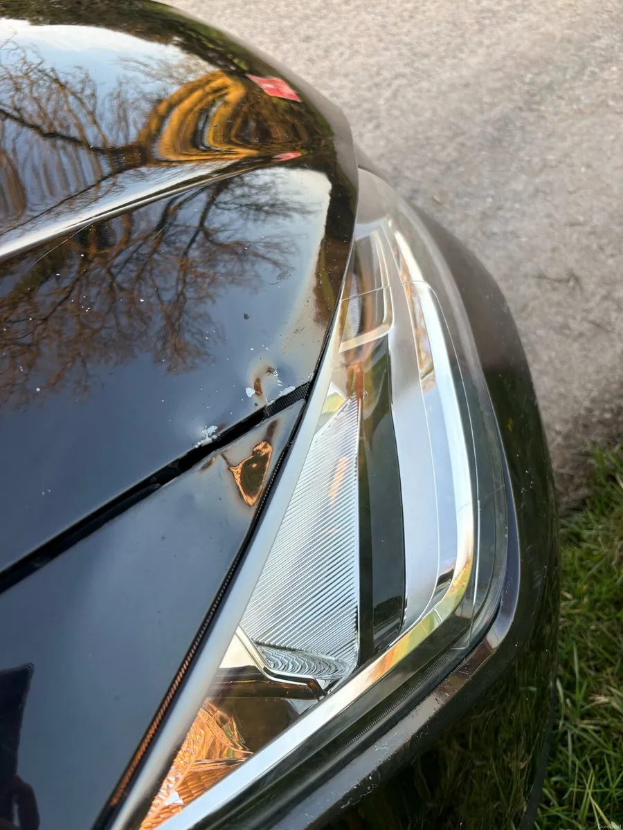 Dear Leon fr 184bhp - Image 4