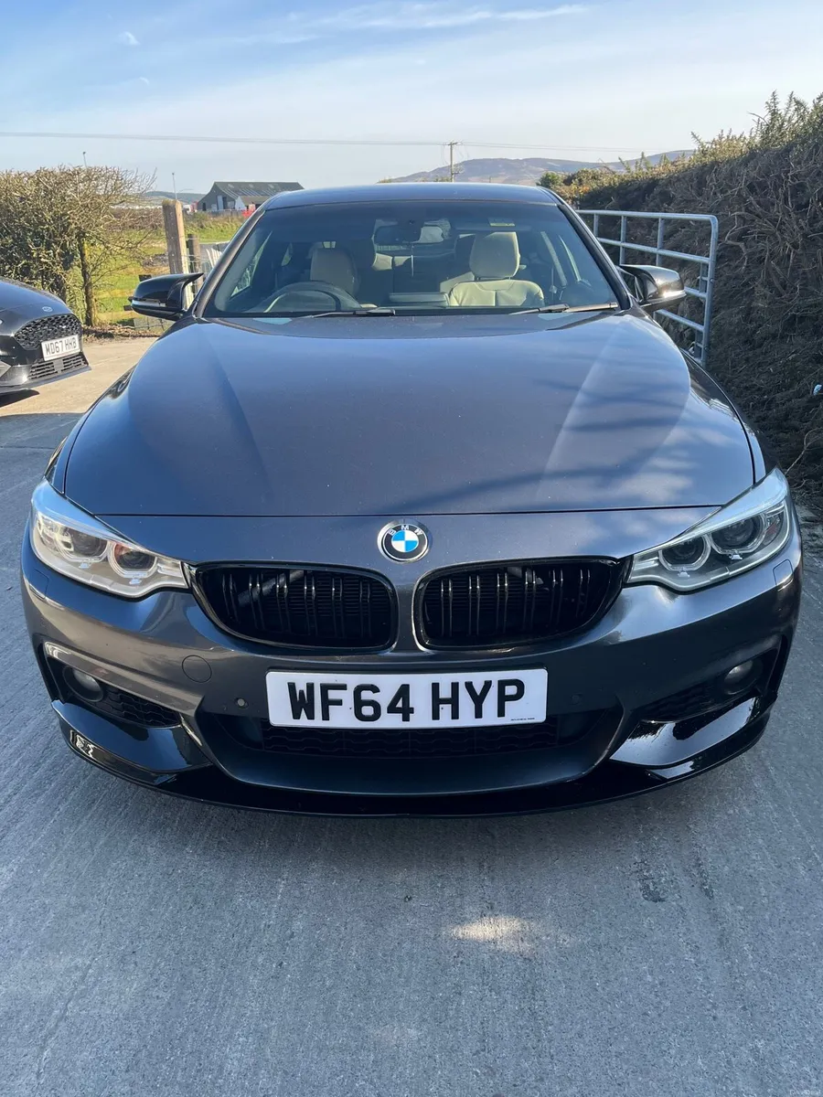 Bmw 420d Msport Xdrive Auto - Image 2