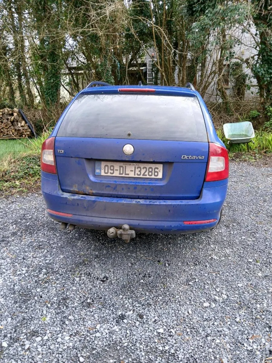 Skoda Octavia - Image 3