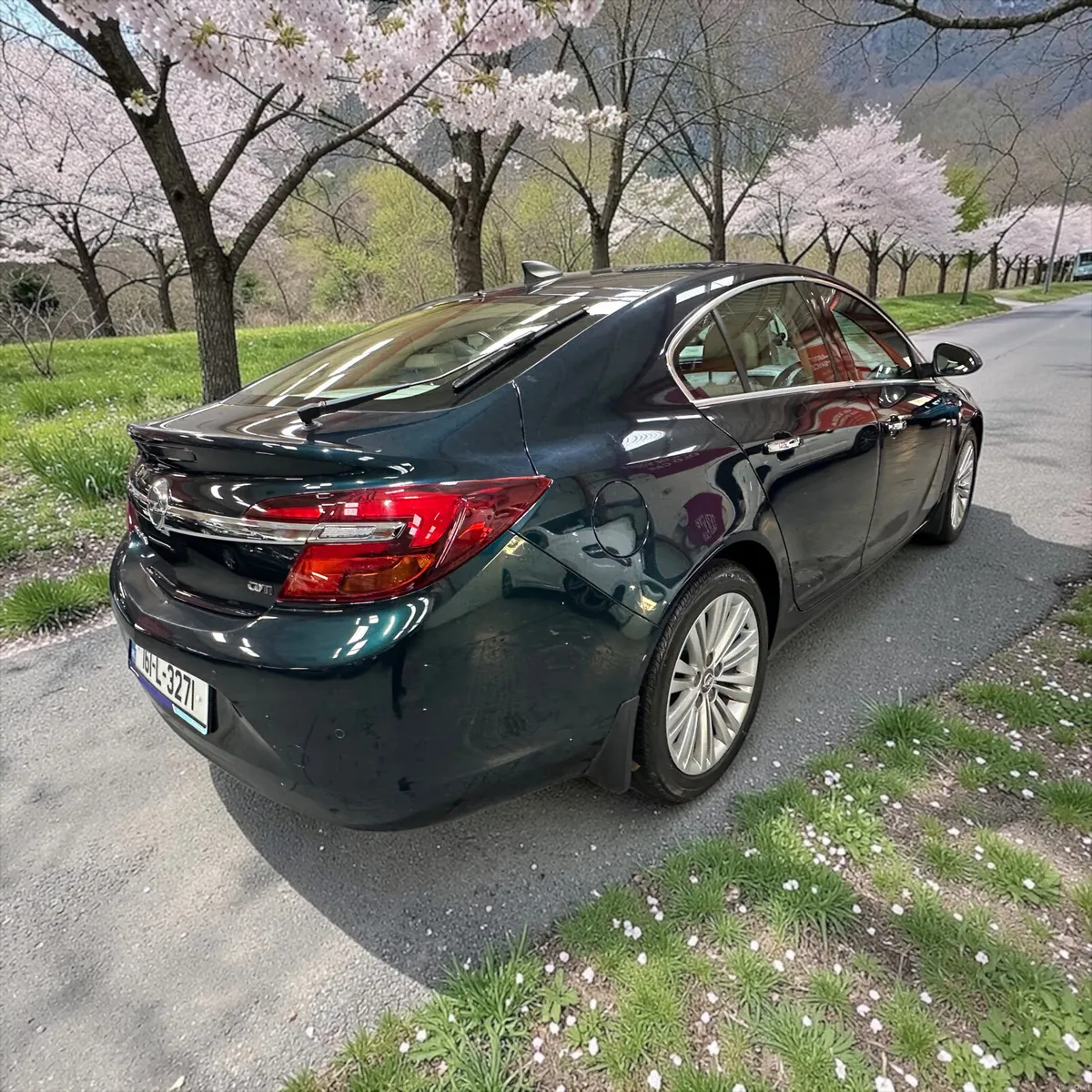 2016 Opel Insignia 2.0CDTI 170PS Elite Leather - Image 4