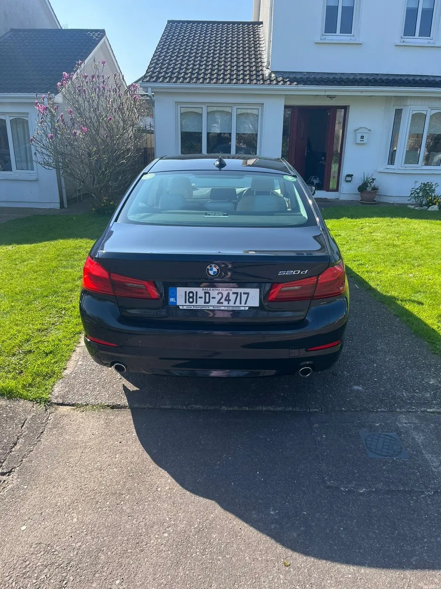 2018 520D - Image 2
