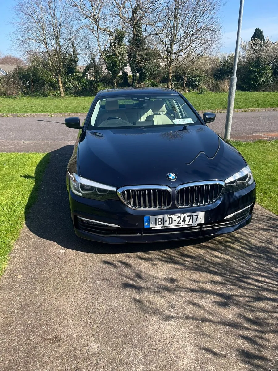 2018 520D - Image 4