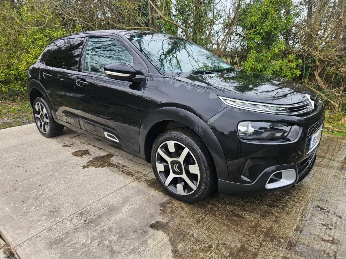 2019 Citroën c4 cactus - Image 1