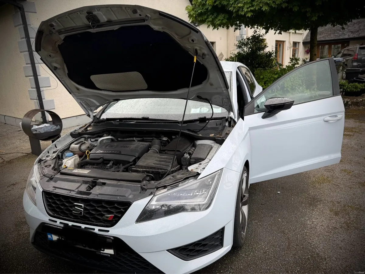 Seat Leon Cupra 280 - Image 1