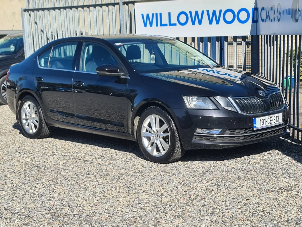 Skoda Octavia 1.6tdi style 2019 - Image 3