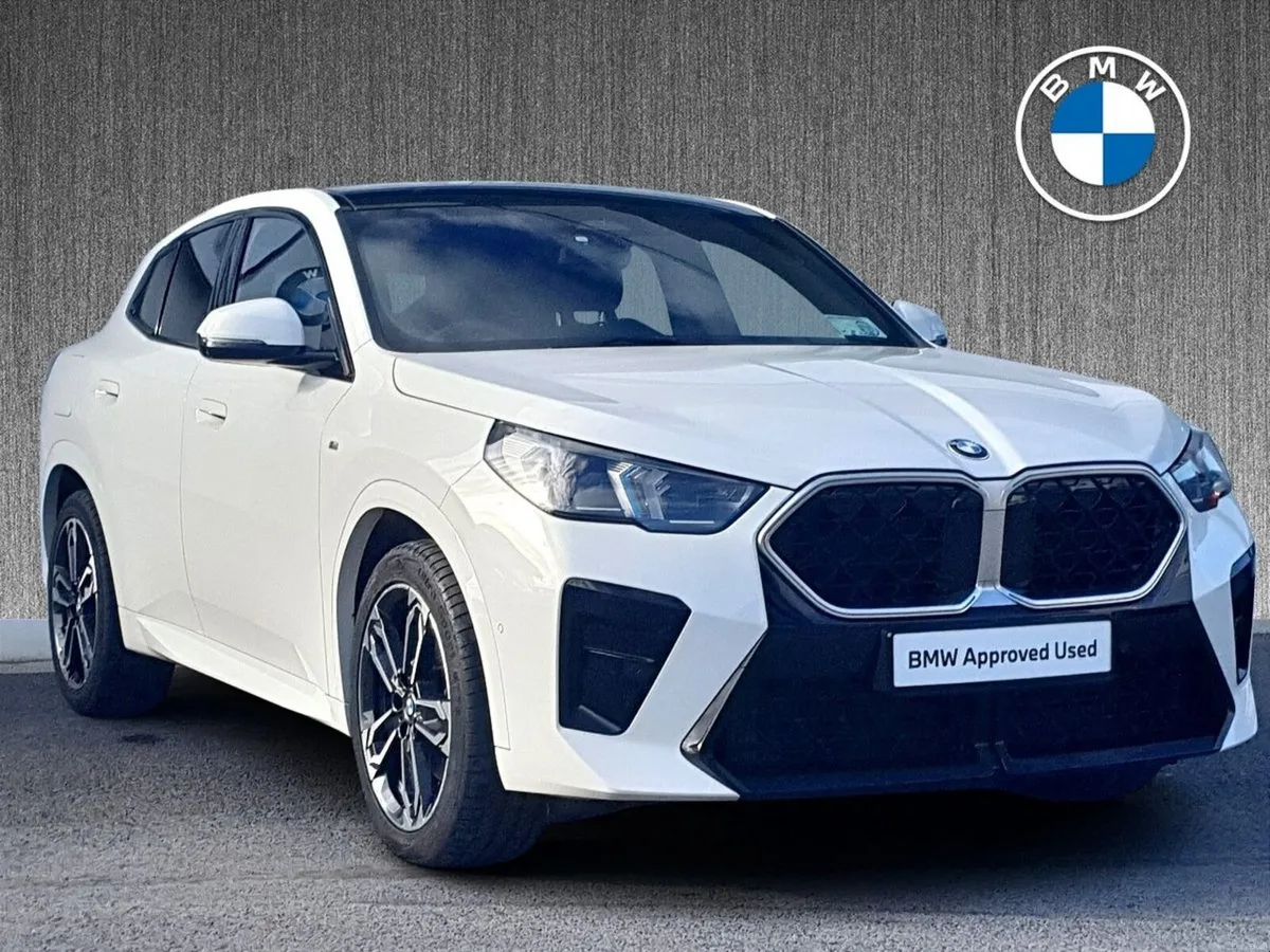 BMW X2 sDrive20i M Sport - Image 1