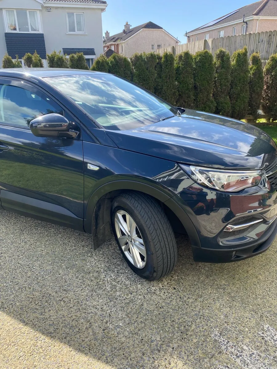 Opel Grandland X - Image 2