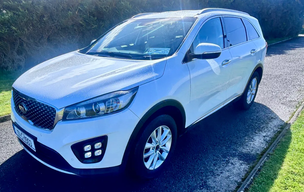 2017 Kia Sorento PLATINUM 7 SEATER - Image 4