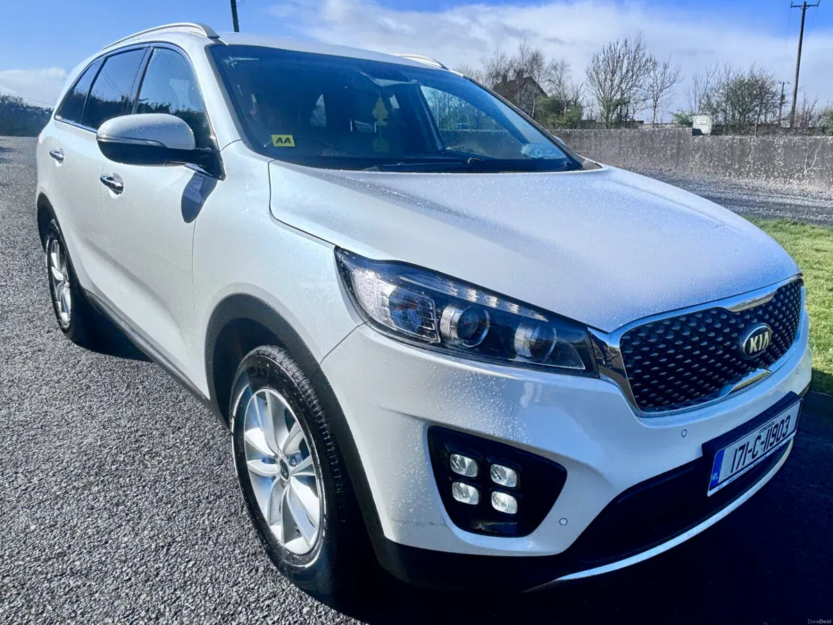 2017 Kia Sorento PLATINUM 7 SEATER - Image 3