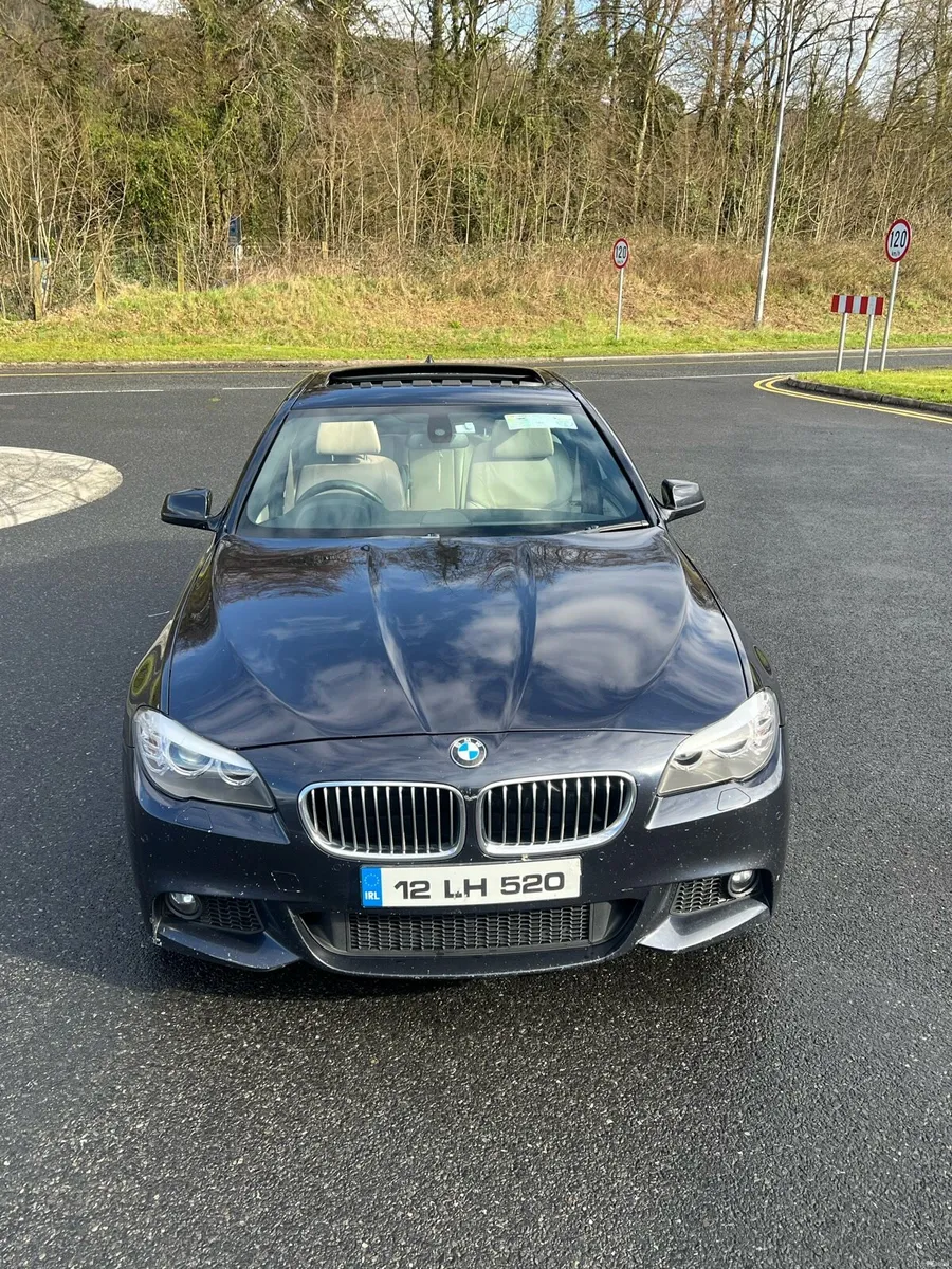 BMW 520 - Image 2