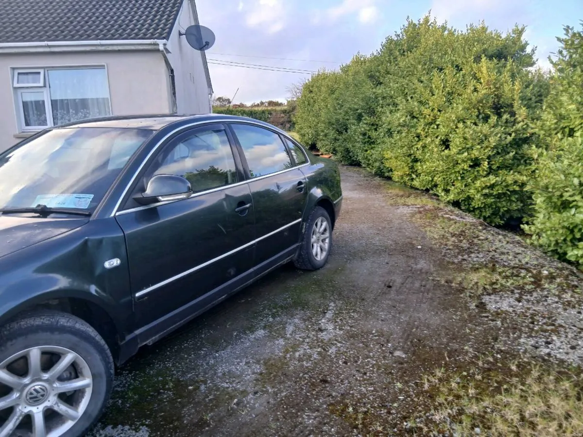 2004 b5 passat - Image 4