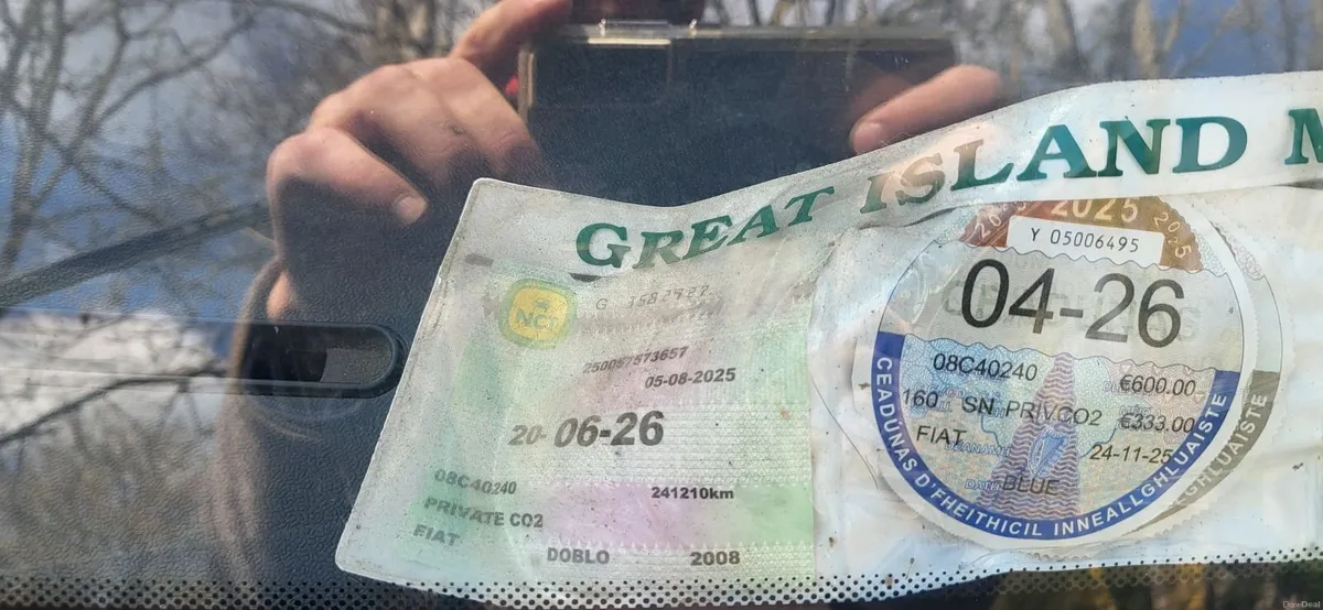 Fiat Doblo 2008 - Image 2