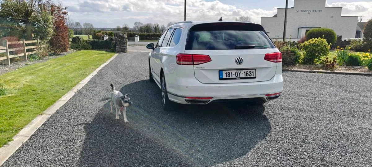 Volkswagen Passat - Image 4