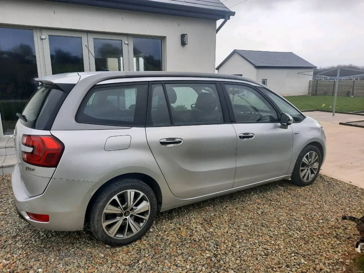 C4 grand piscasso - Image 2