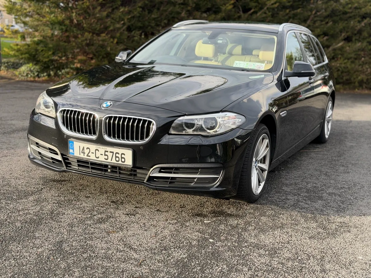 BMW 520d SE 2014 | 2.0 Diesel | Manual | Leather - Image 4