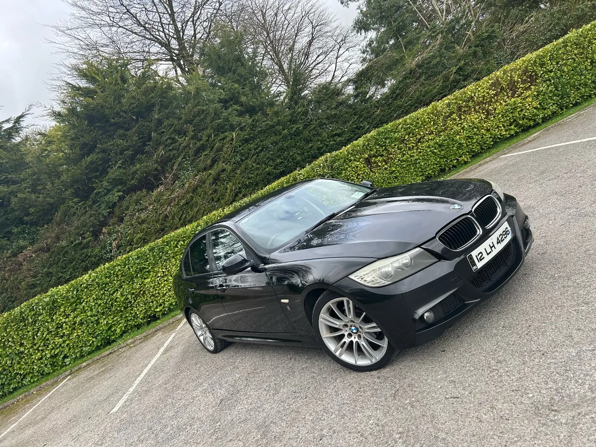 BMW 318D Msport - Image 2