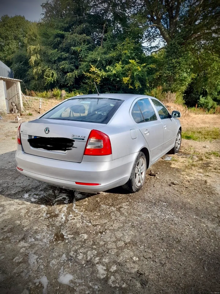Skoda Octavia - Image 2