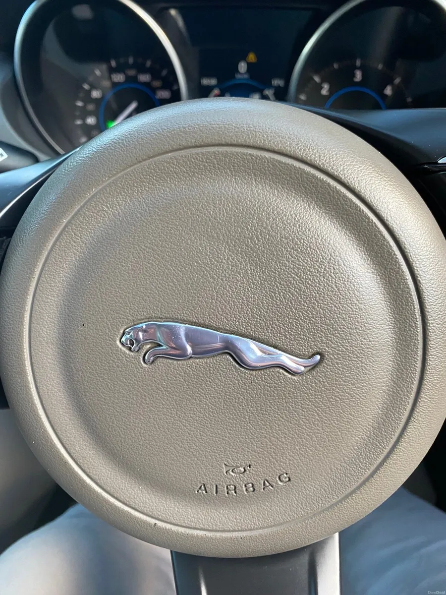 Jaguar - Image 5