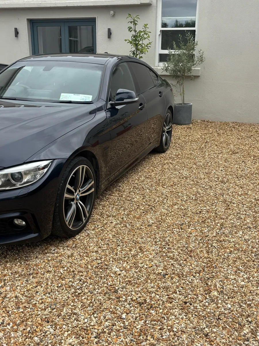 BMW 420d M Sport Coupe Auto - Image 6