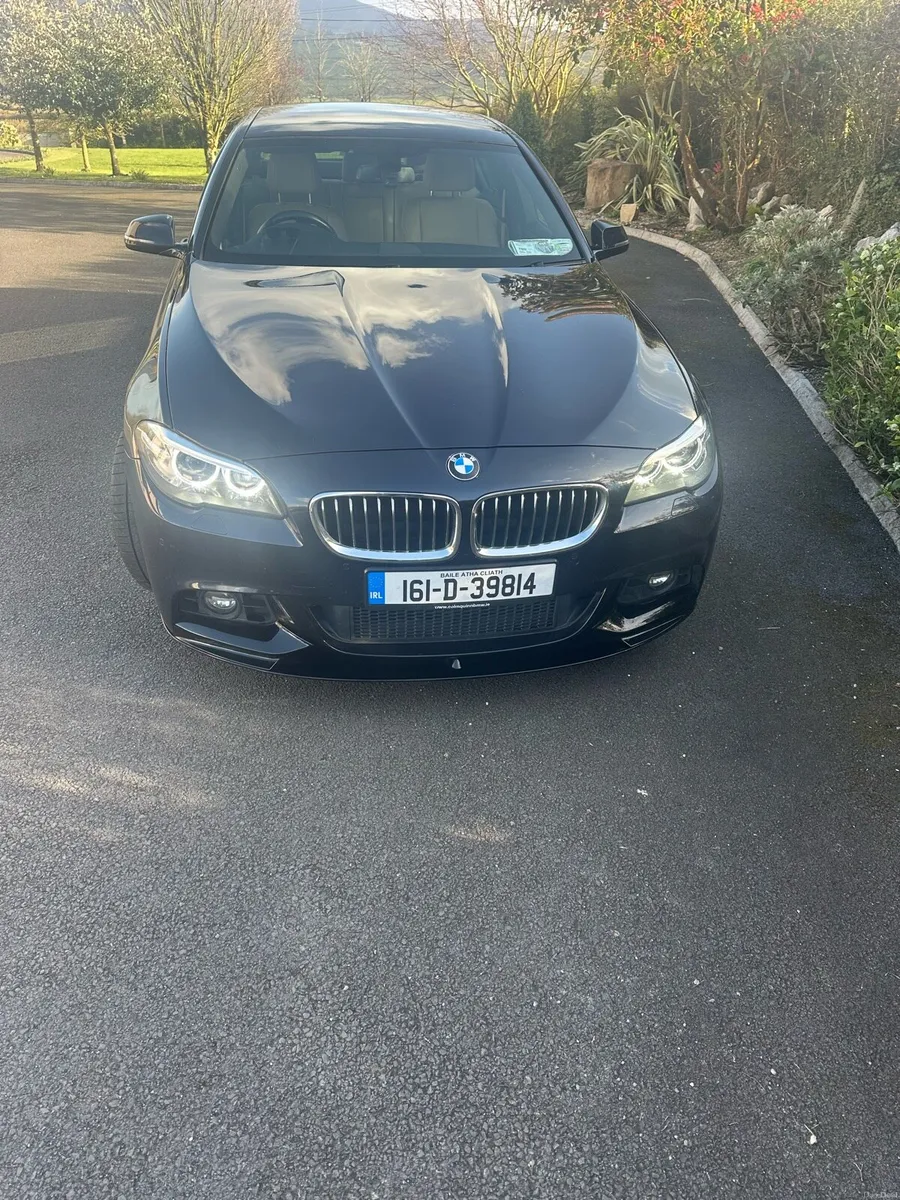 2016 BMW 530d MSport - Image 4