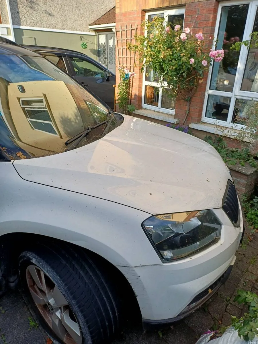 Skoda yeti - Image 1