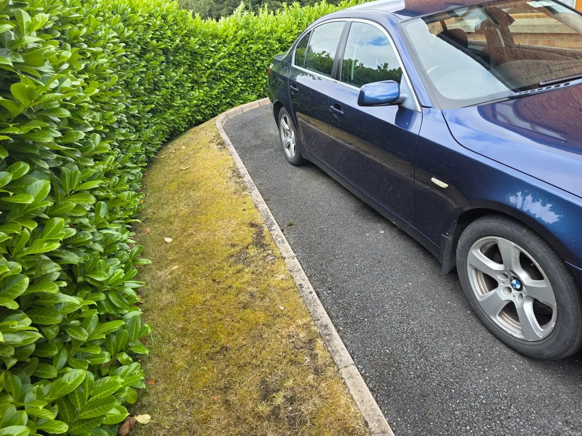 BMW 5-Series 2008 - Image 6