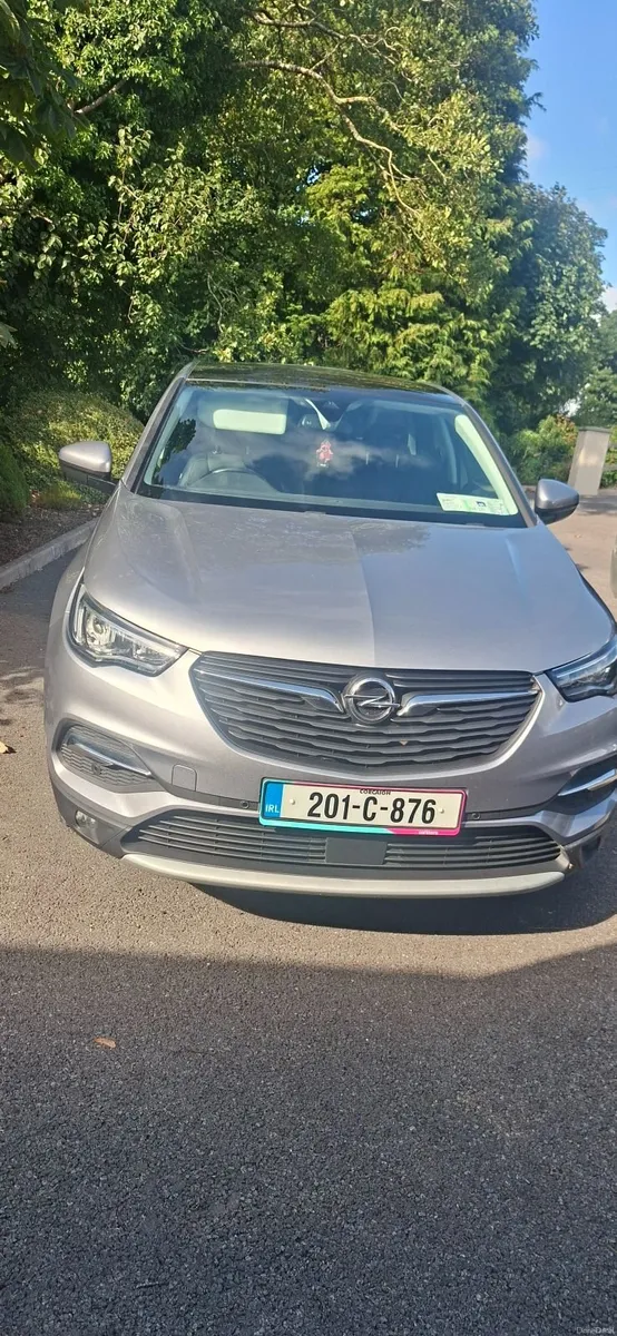 Opel Grandland X 2020 - Image 6