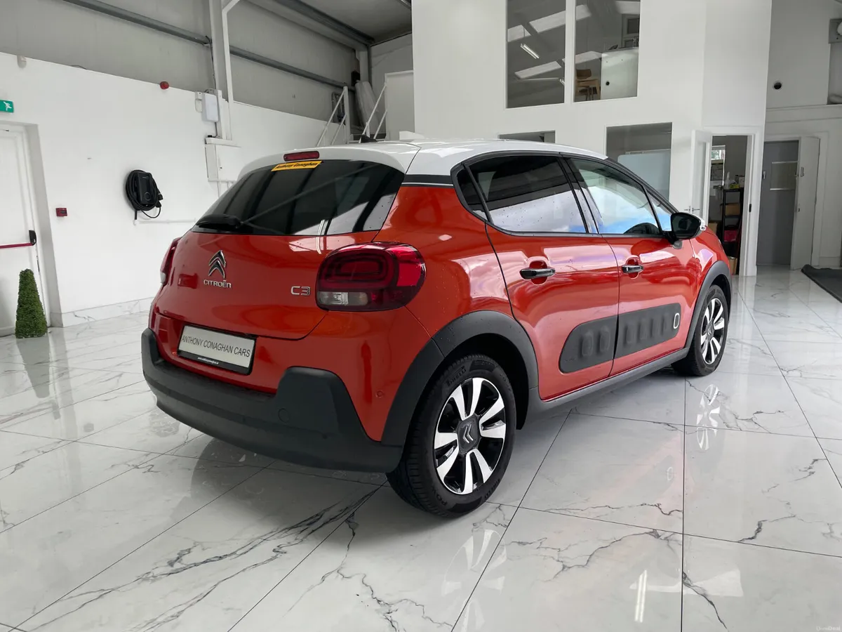 2018 Citrone C3 Shine - Image 4