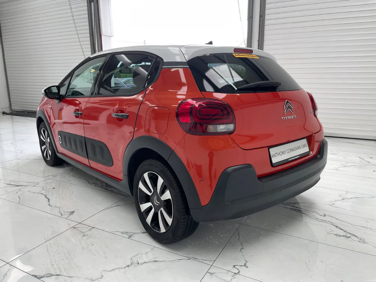 2018 Citrone C3 Shine - Image 6
