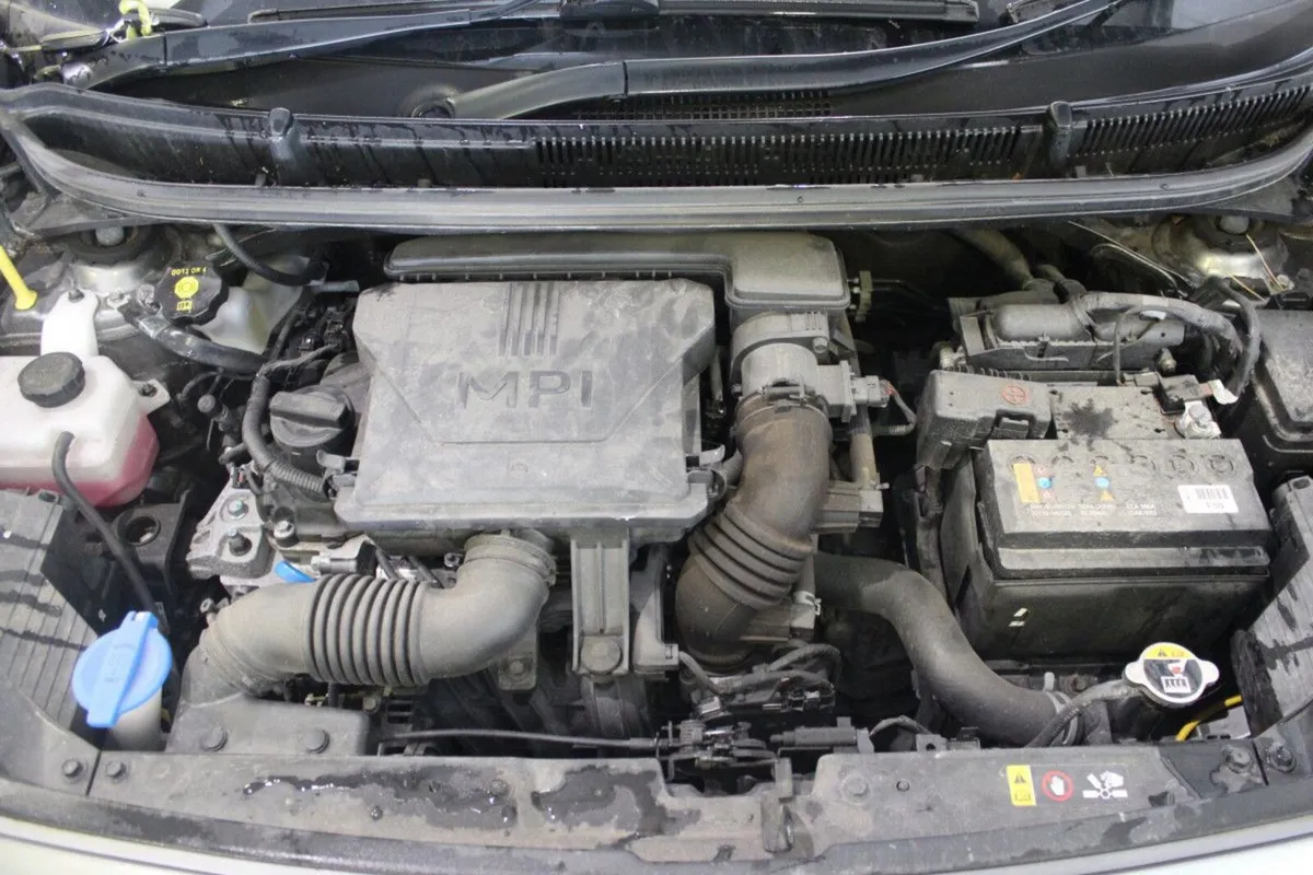 Kia Picanto 1.0 MY23 AUTOMATIC - TENDER 11 - Image 3