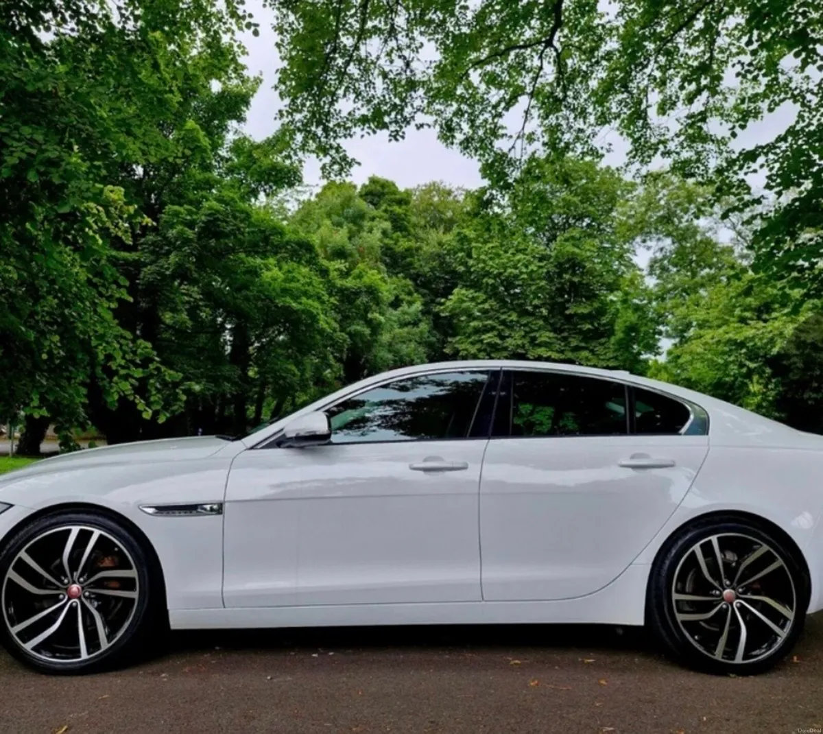Jaguars XE - Image 1