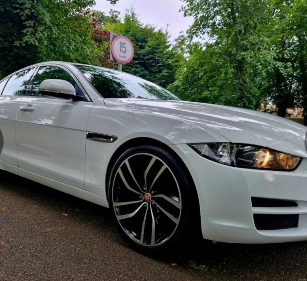 Jaguars XE - Image 2