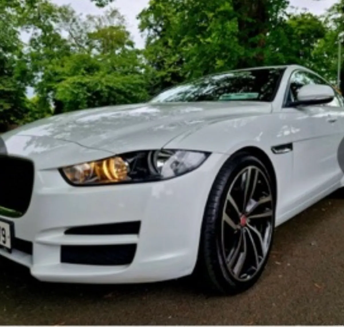 Jaguars XE - Image 5