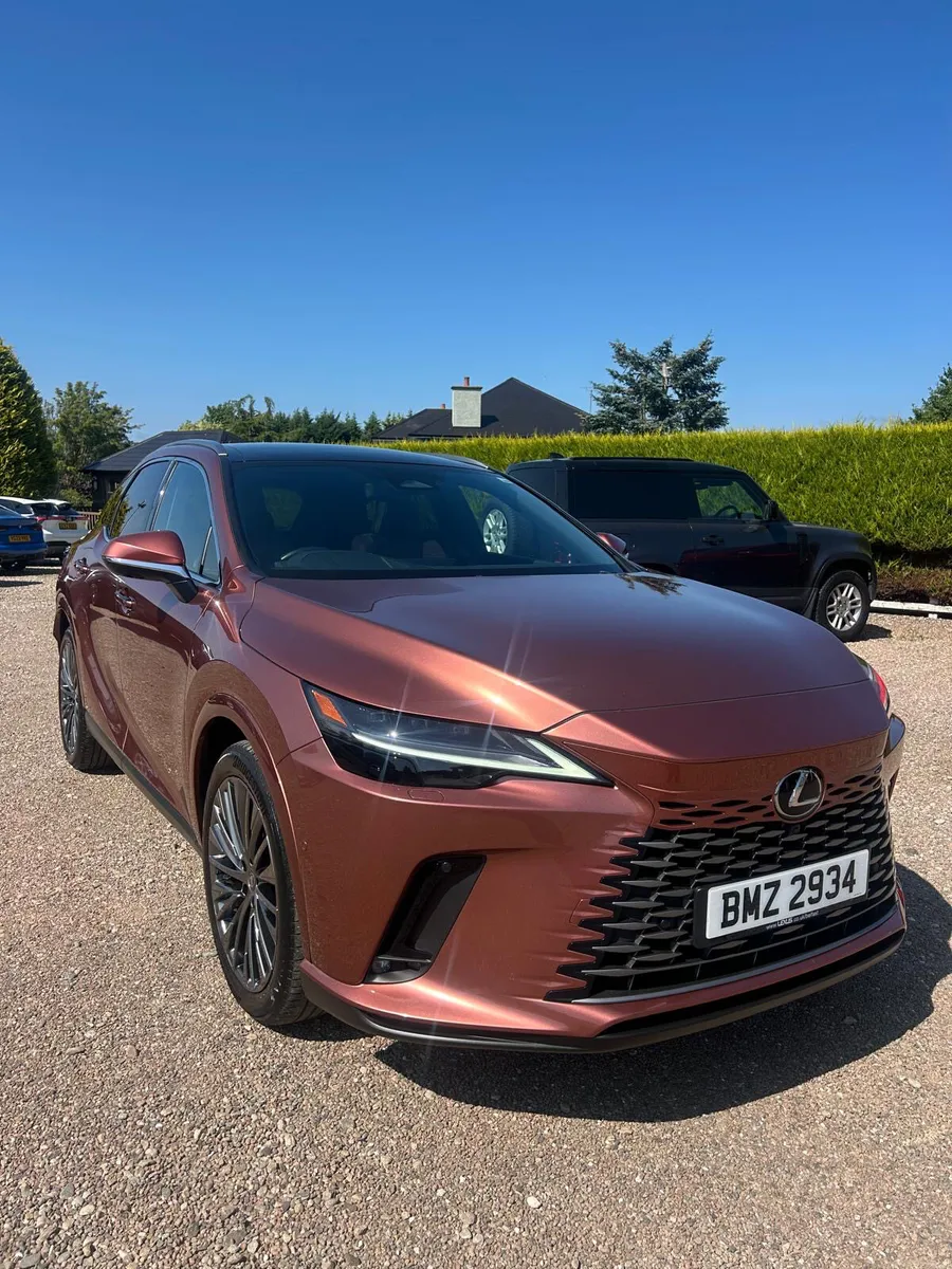 2024 Lexus RX-Series 450h+ 2.5 Takumi 5dr E-CVT - Image 1