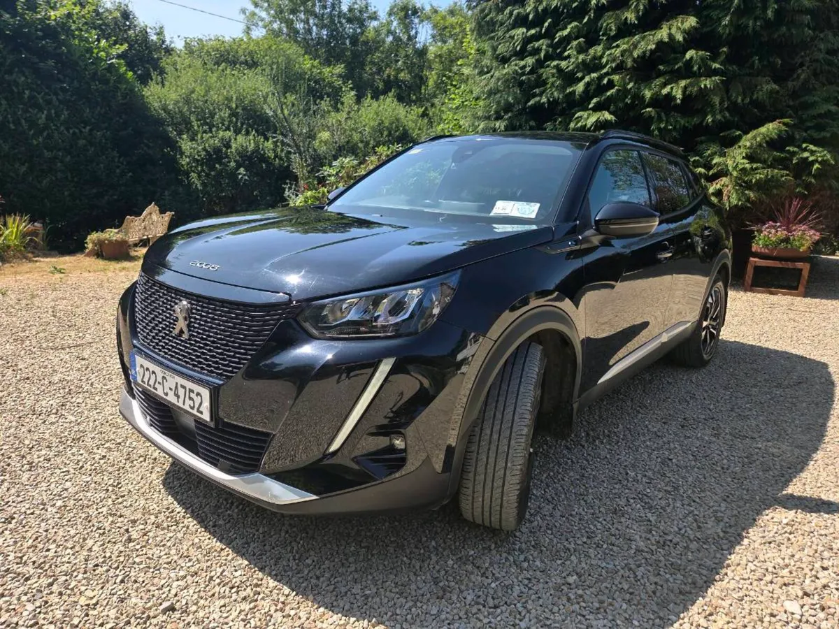 222 Peugeot 2008 - Image 2