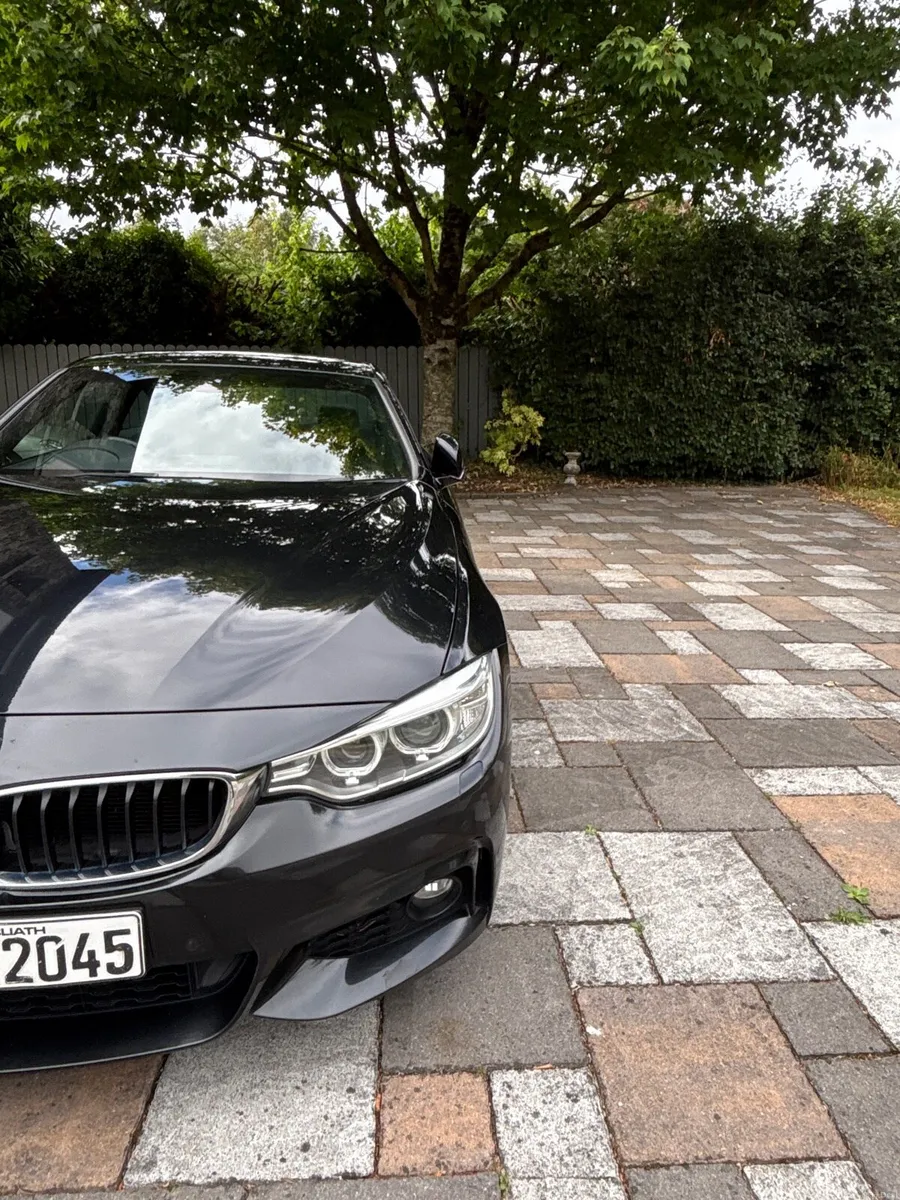 BMW 420d M Sport - Image 6
