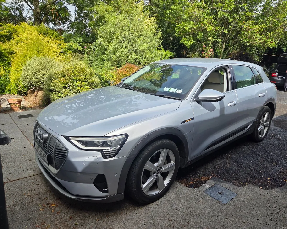 Audi e-tron 55e 2021 Technik Quattro - Image 1