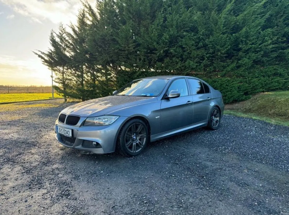 2010 Bmw 3-series - Image 2