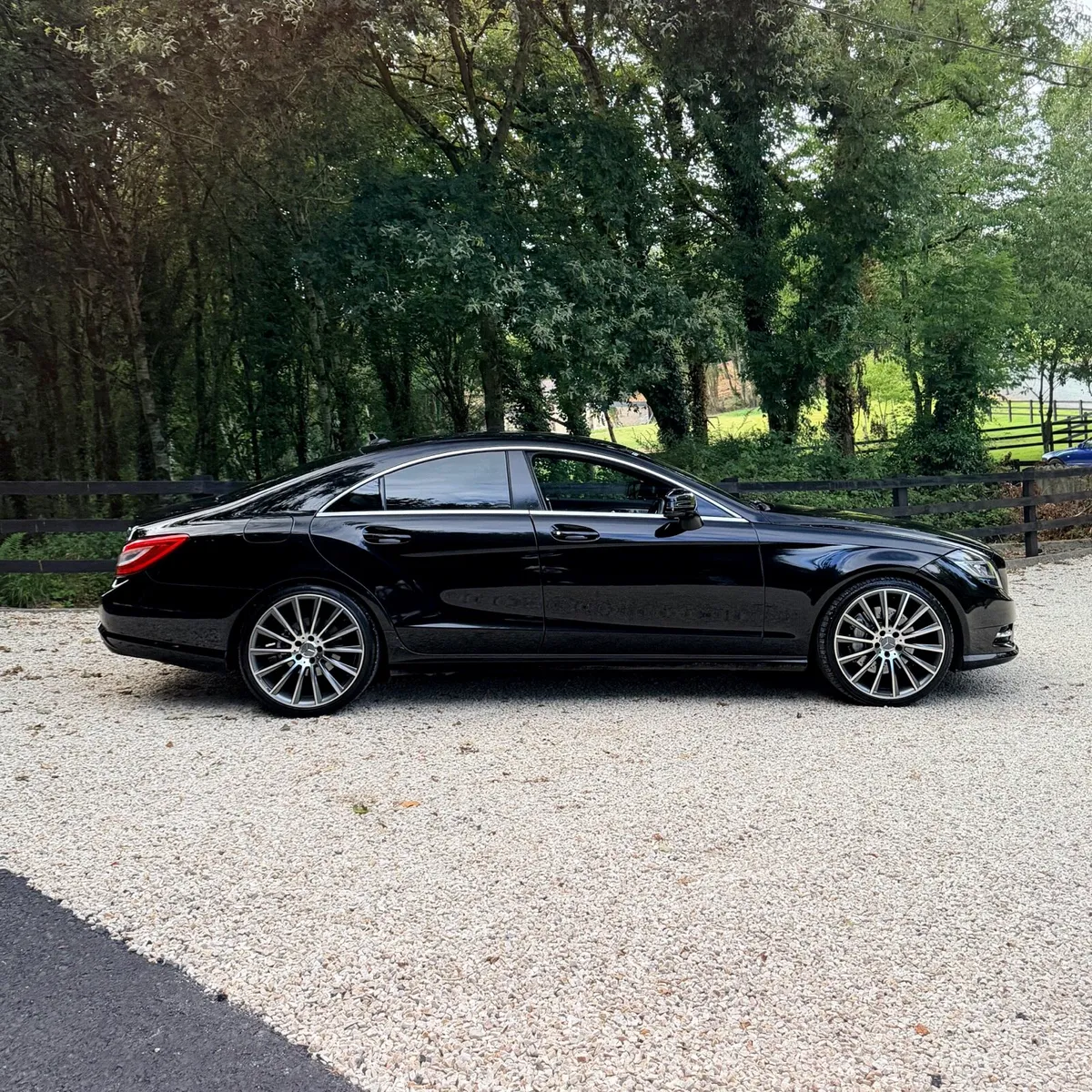 2013 Mercedes-Benz CLS 350 - Image 5