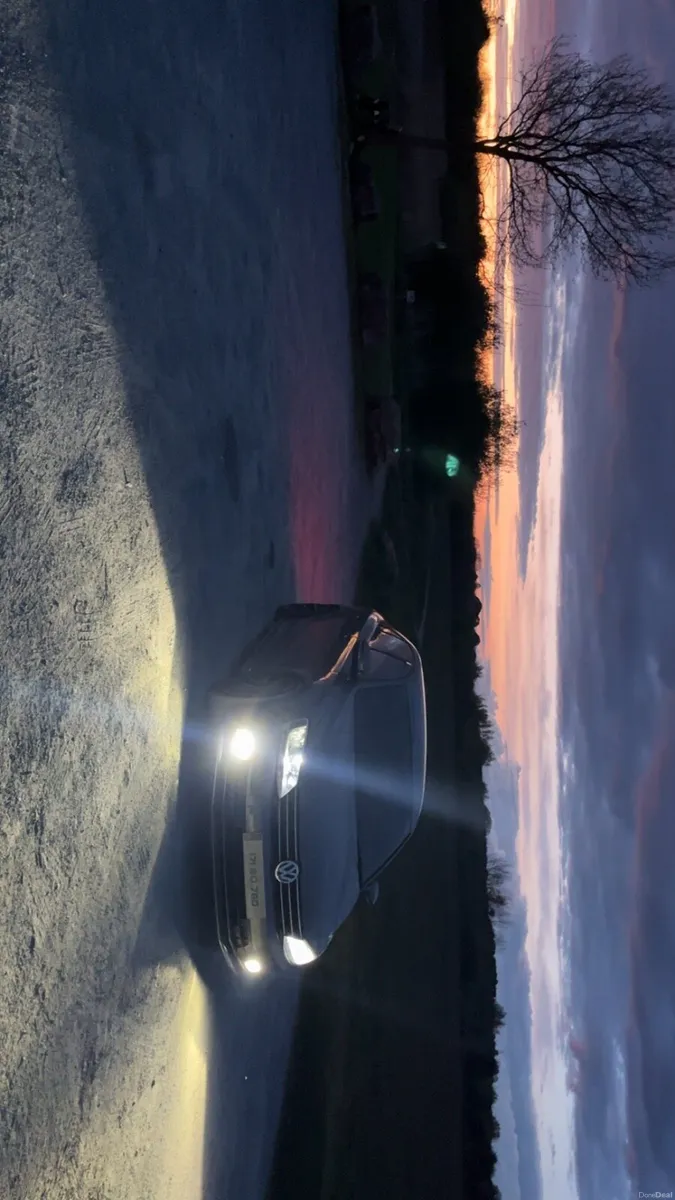 Jetta - Image 1