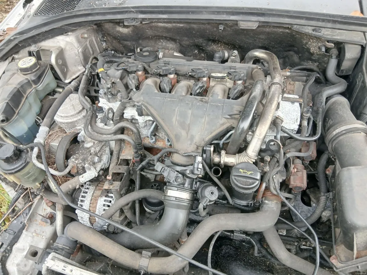 Volvo V70 2010 - Image 2