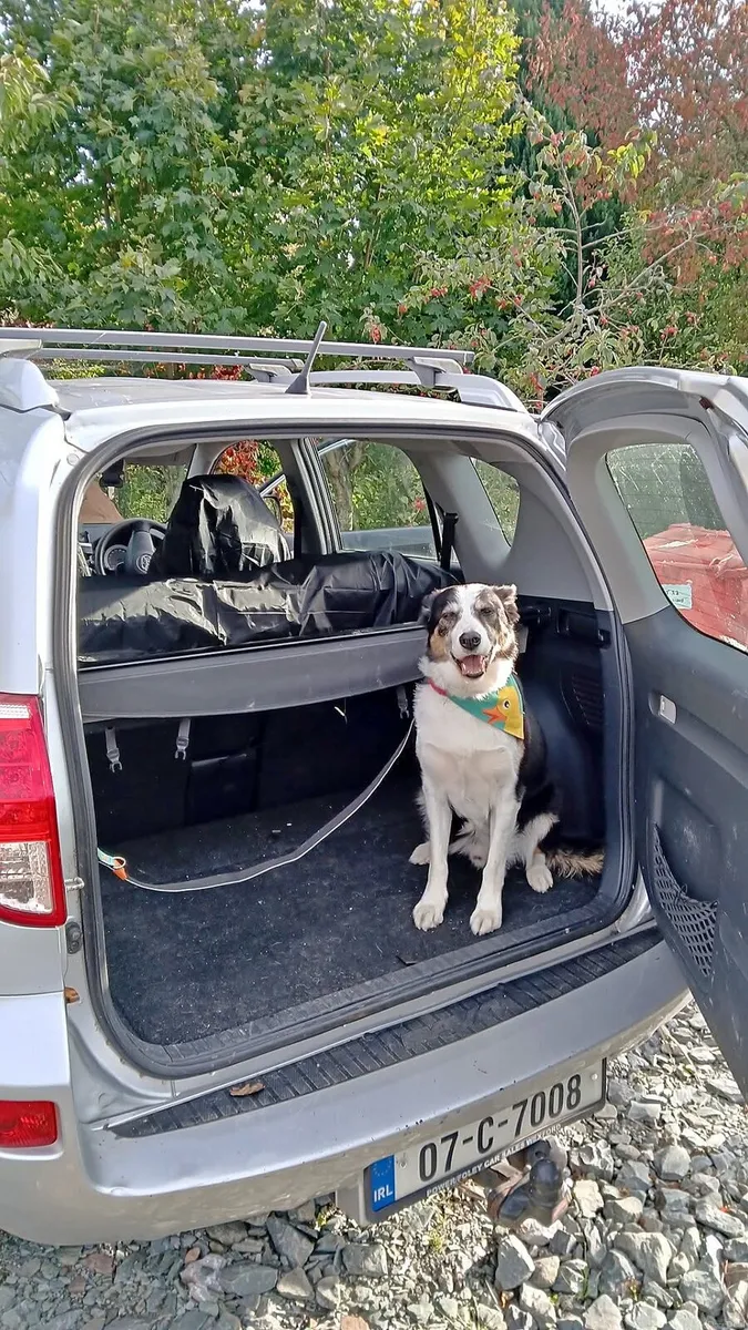 2007 Toyota Rav 4 2.0 petrol manual low km FERMOY - Image 3