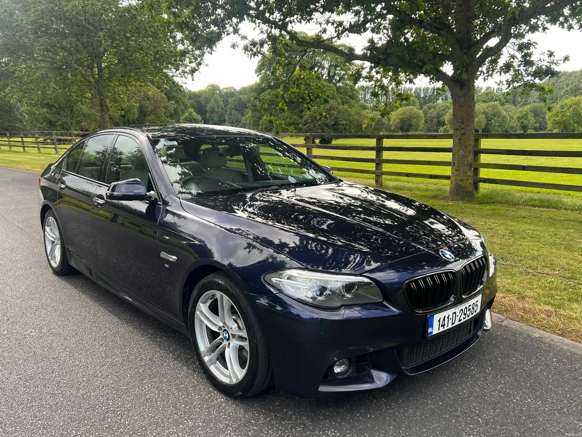 BMW 518d M-Sport - Image 1