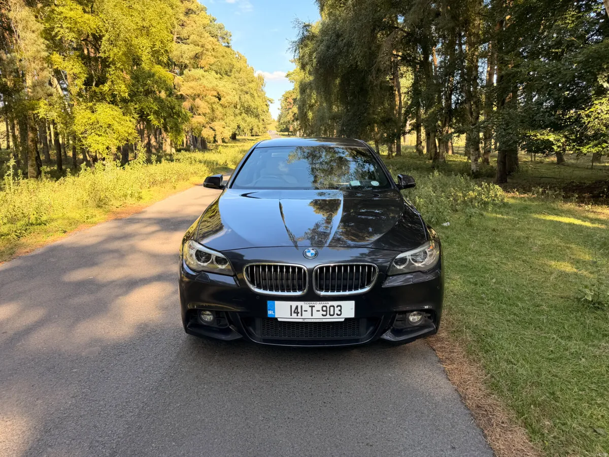 BMW 5-Series 2014 M Sport - Image 2